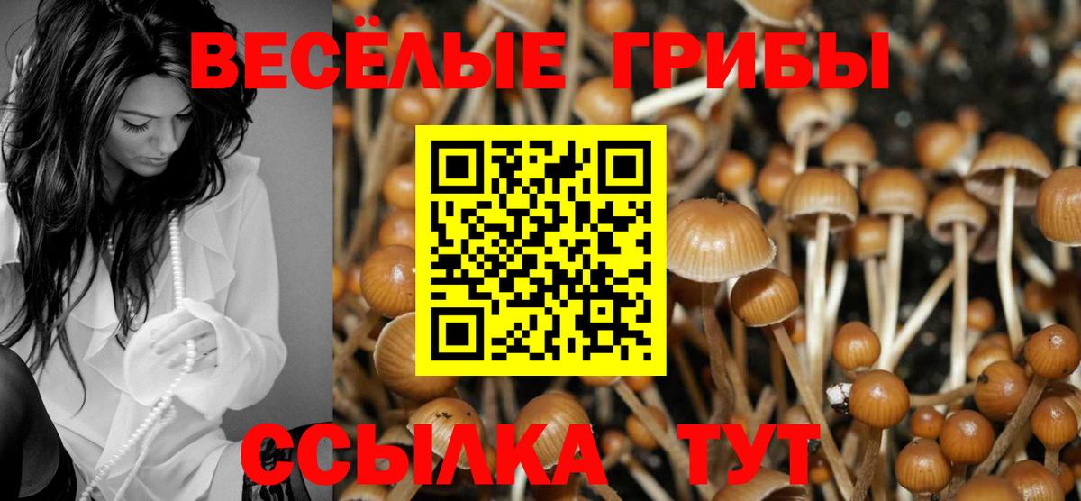 Десногорск  Галлюциногенные грибы мухоморы  Вход с VPN 