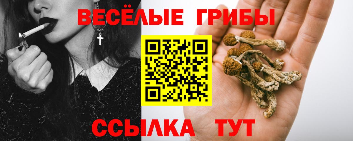 Галлюциногенные грибы Magic Shrooms Десногорск